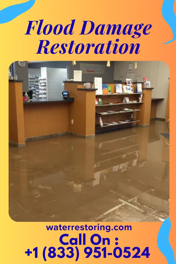 Flood Damage Restoration in Lime Ridge, PA