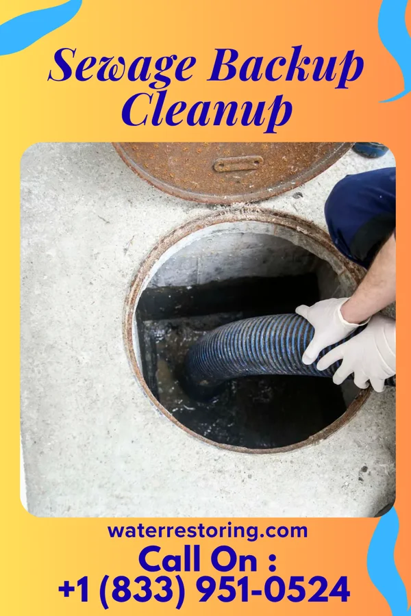 Sewage Backup Cleanup in Lime Ridge, PA