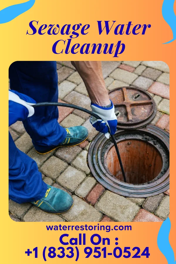 Sewage Water Cleanup in Lime Ridge, PA