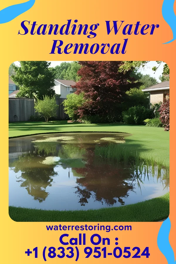 Standing Water Removal in Lime Ridge, PA
